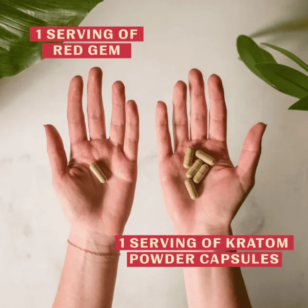 Red Gem Enhanced Kratom Capsules - Image 4
