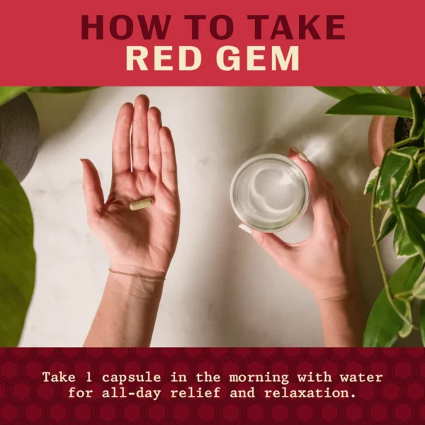 Red Gem Enhanced Kratom Capsules - Image 6